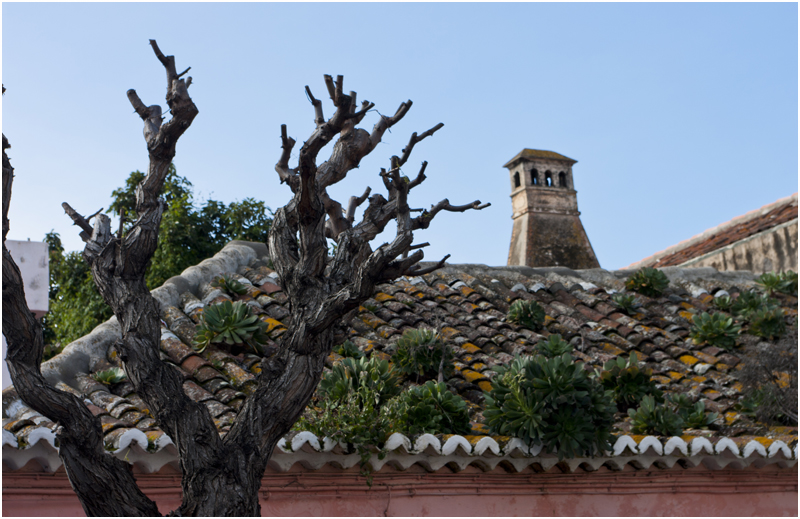 Un jardín en el tejado